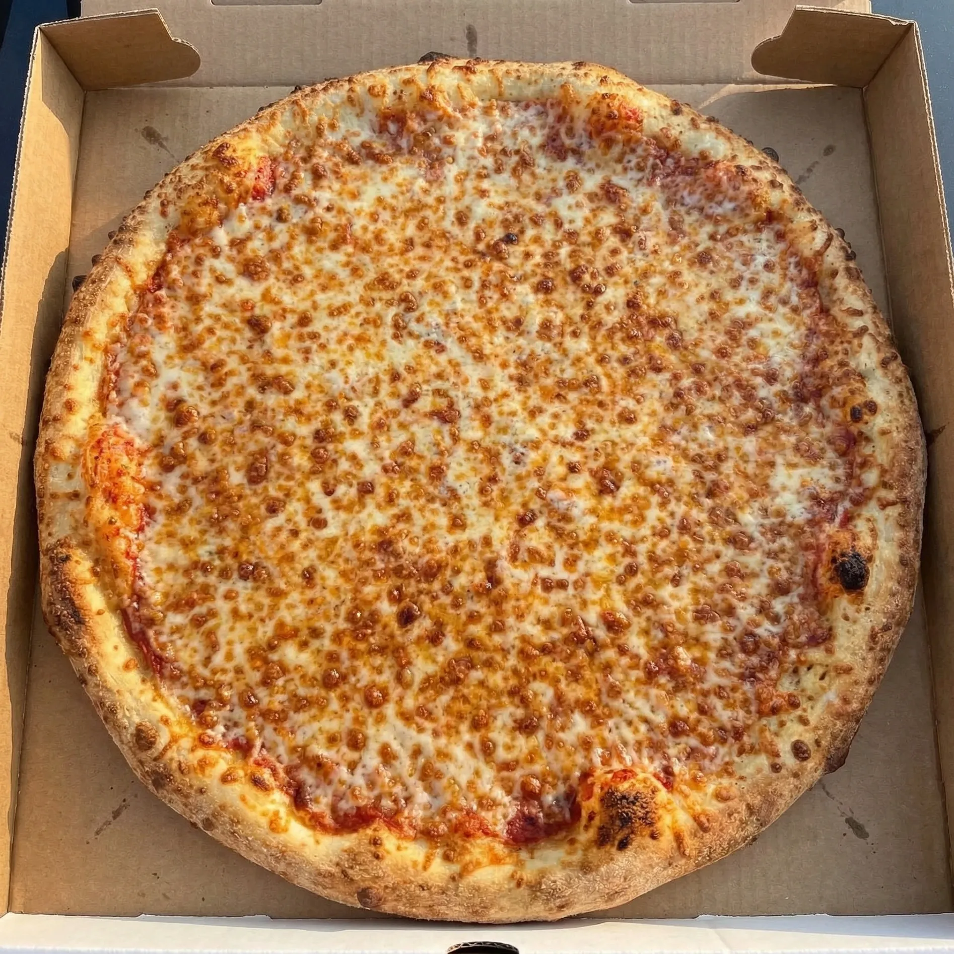 Cheese pizza at Pangaea Pizza Calgary - classic cheesy goodness on a handcrafted crust